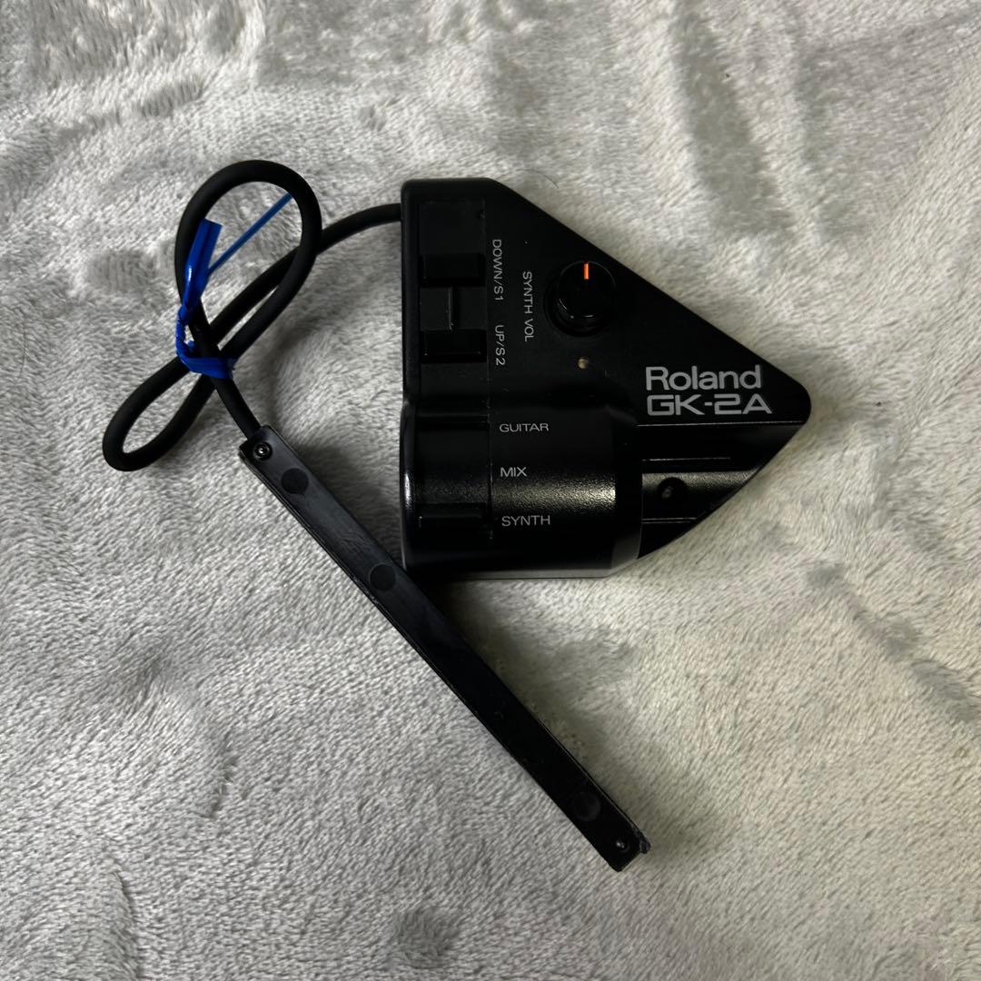 Roland Others Gr-30