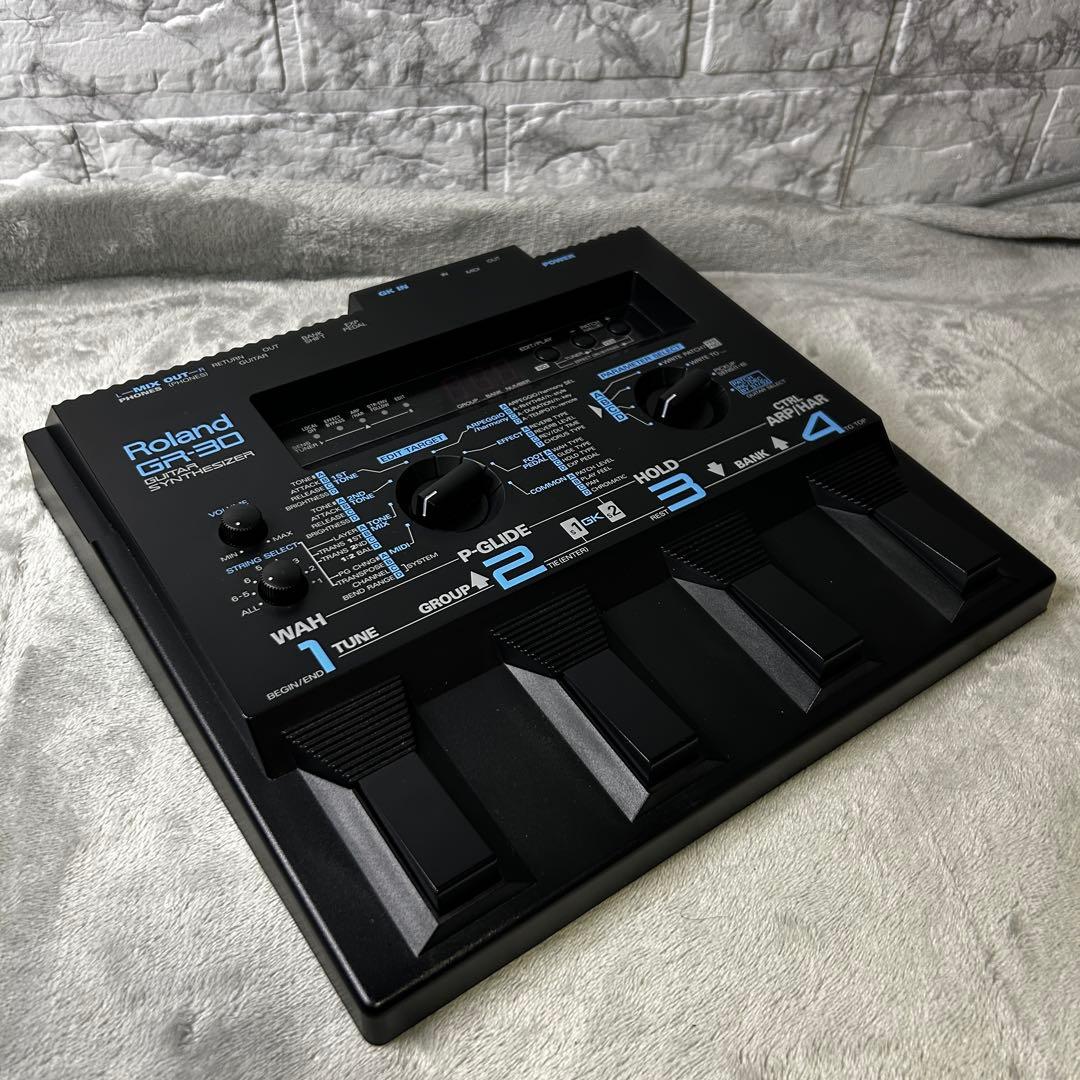 Roland Others Gr-30