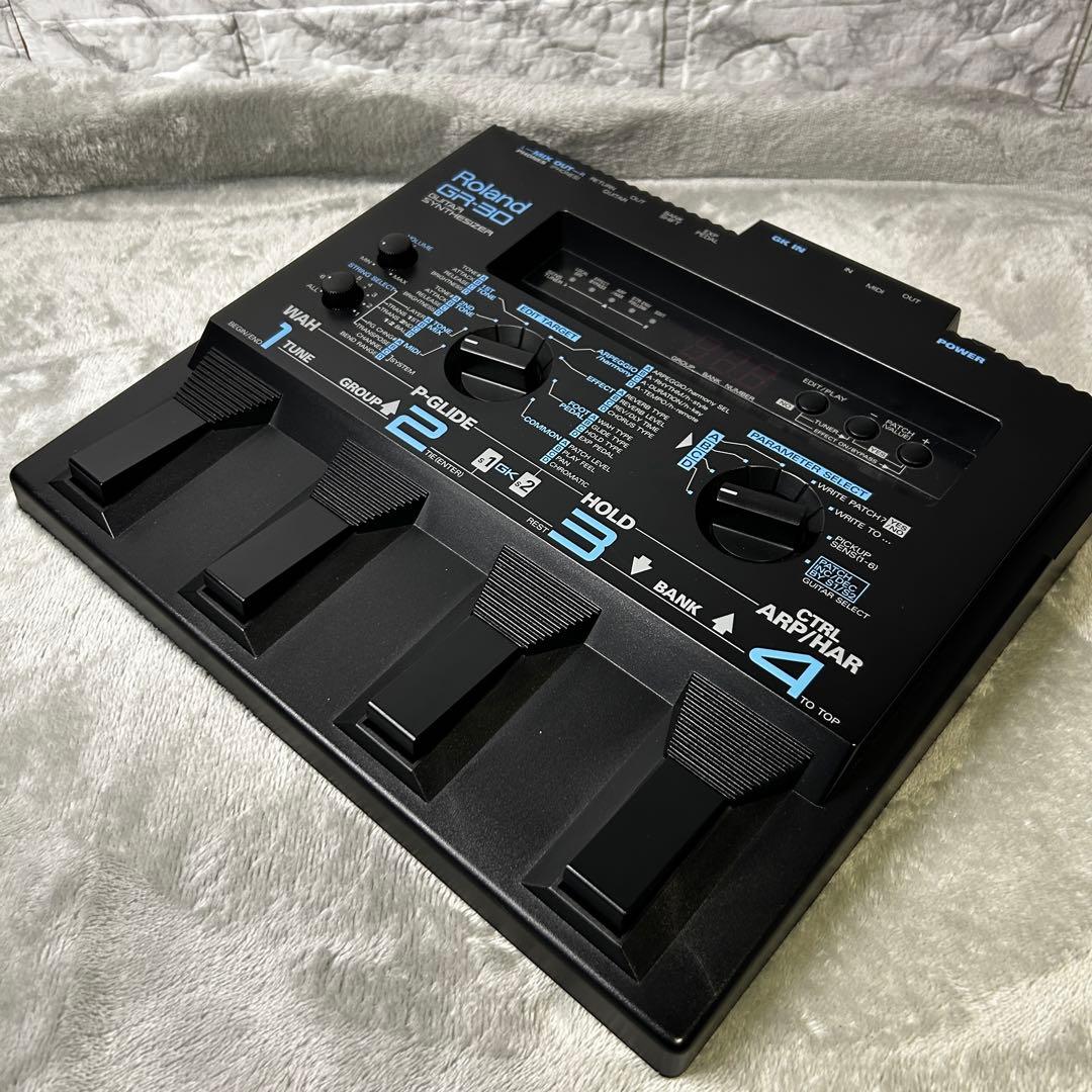 Roland Others Gr-30