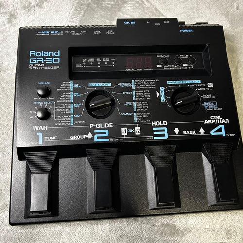 Roland Others Gr-30