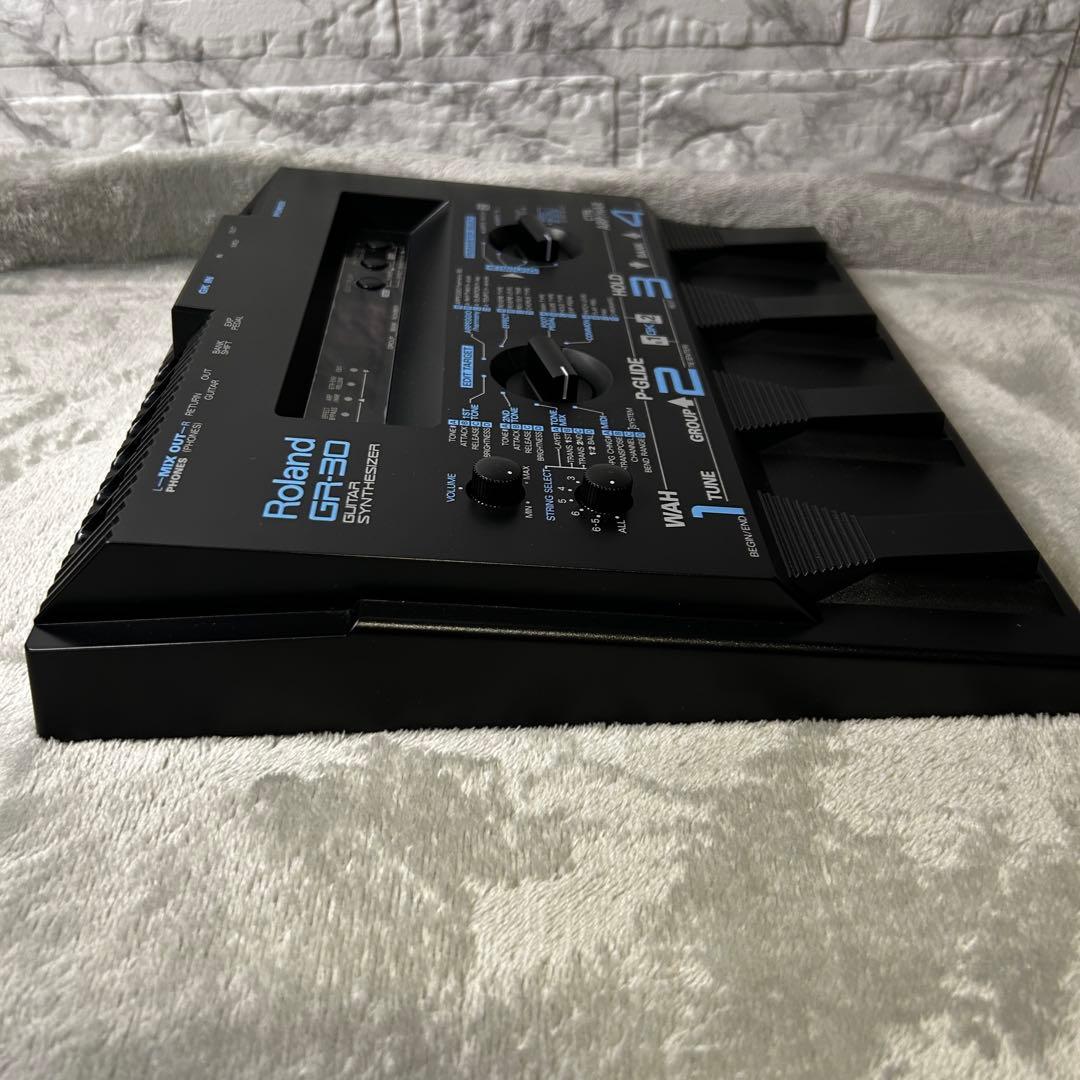 Roland Others Gr-30