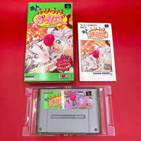 Super Famicom Games Sfc
