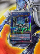 Yu-Gi-Oh! Ocg Duel Monsters (Japanese)