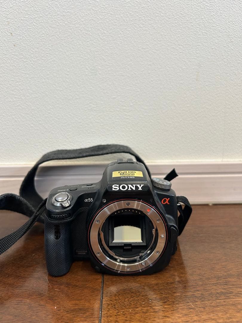 Sony Digital Slrs 55