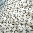 Celine Bandanas Thin Scarves