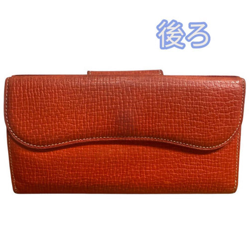 Loewe Long Wallet