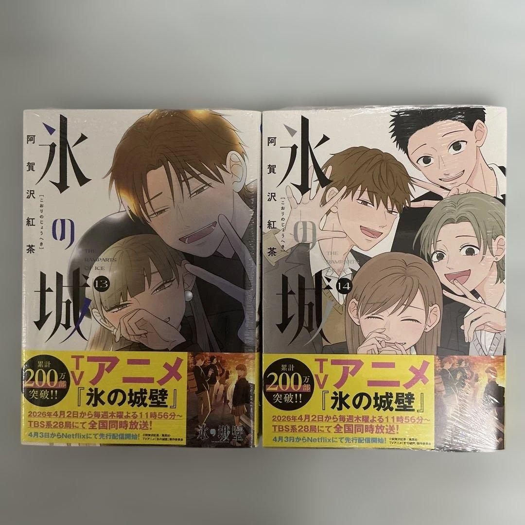 Seinen Manga