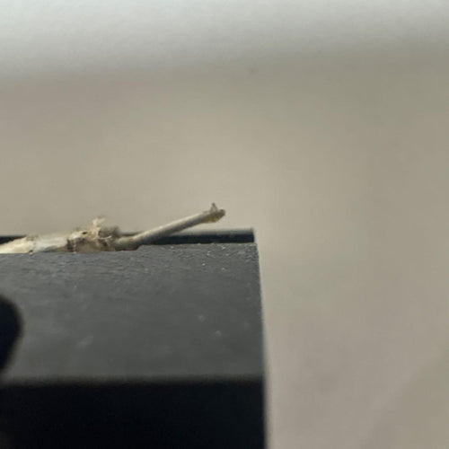 Denon Record Needle Cartridge Dl-103 Mc