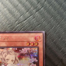 Yu -Gi -Oh! Ocg Duel Monsters