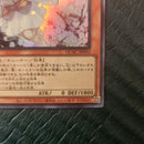 Yu -Gi -Oh! Ocg Duel Monsters