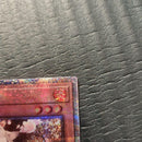 Yu -Gi -Oh! Ocg Duel Monsters