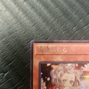Yu -Gi -Oh! Ocg Duel Monsters