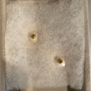 Earrings (Pairs) Sakura Alpaca To Hana