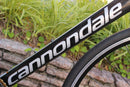 Cannondale Road Bike Caad12 2016 52 105 5800 Mix 11S