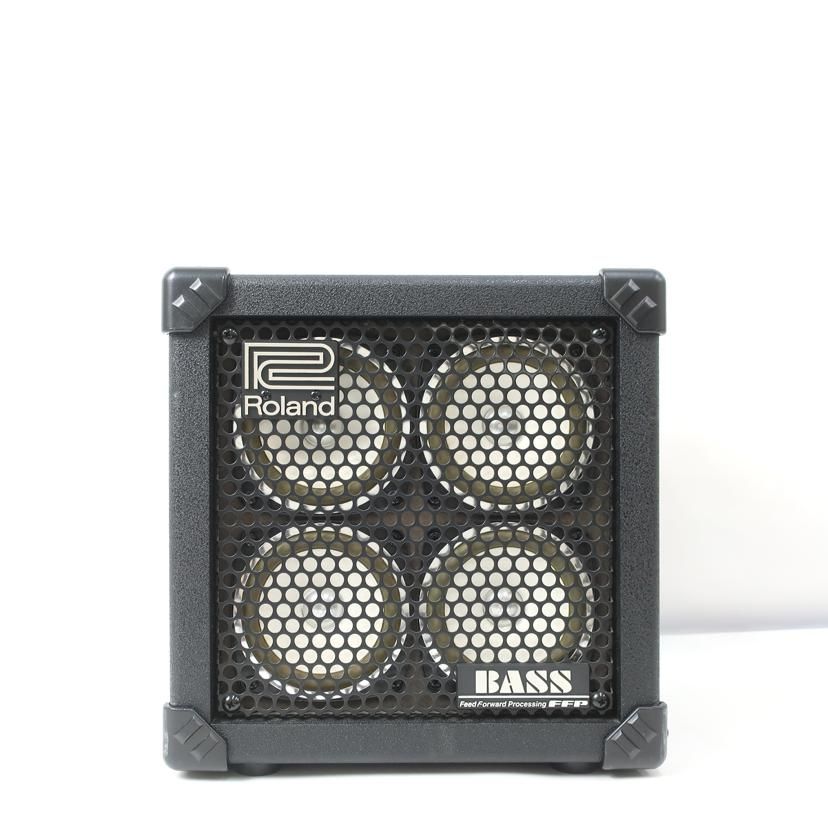 Roland Others Ac Micro Cube Bass Rx C 65