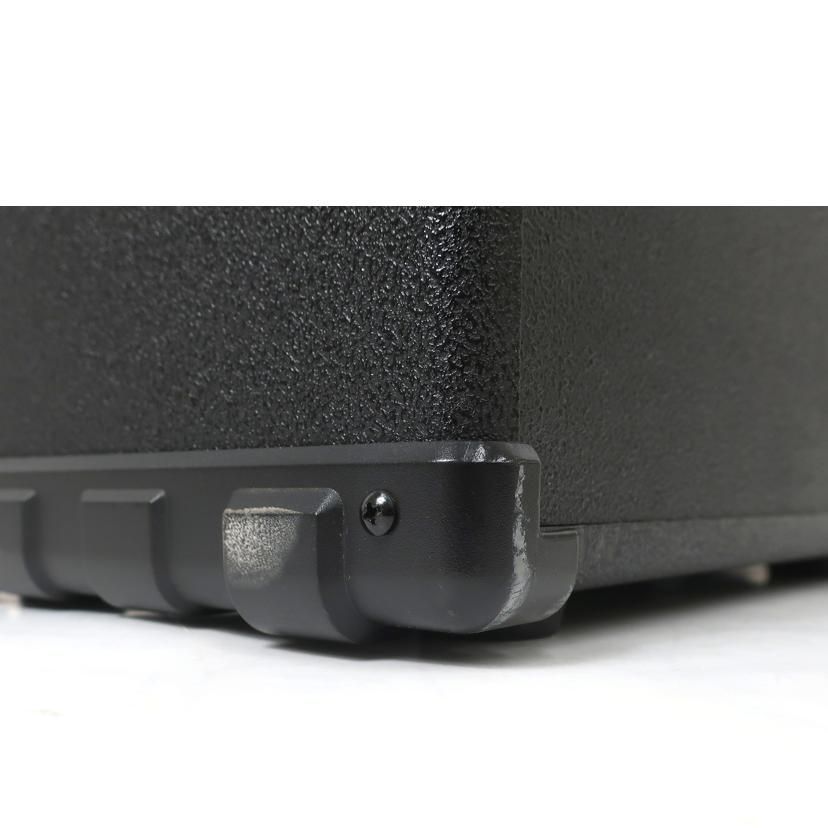 Roland Others Ac Micro Cube Bass Rx C 65