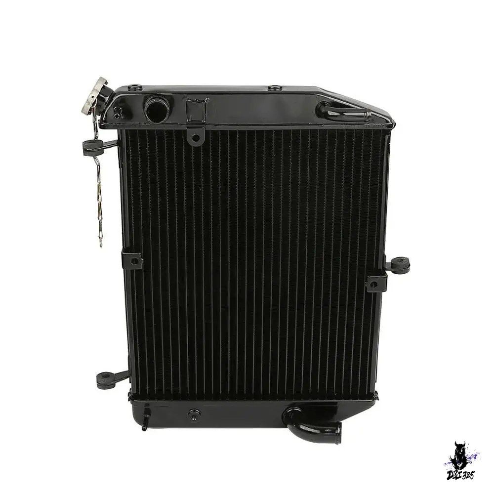 Engine Cooling Device Yamaha Yzf-R1 2002-2003