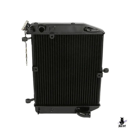 Engine Cooling Device Yamaha Yzf-R1 2002-2003
