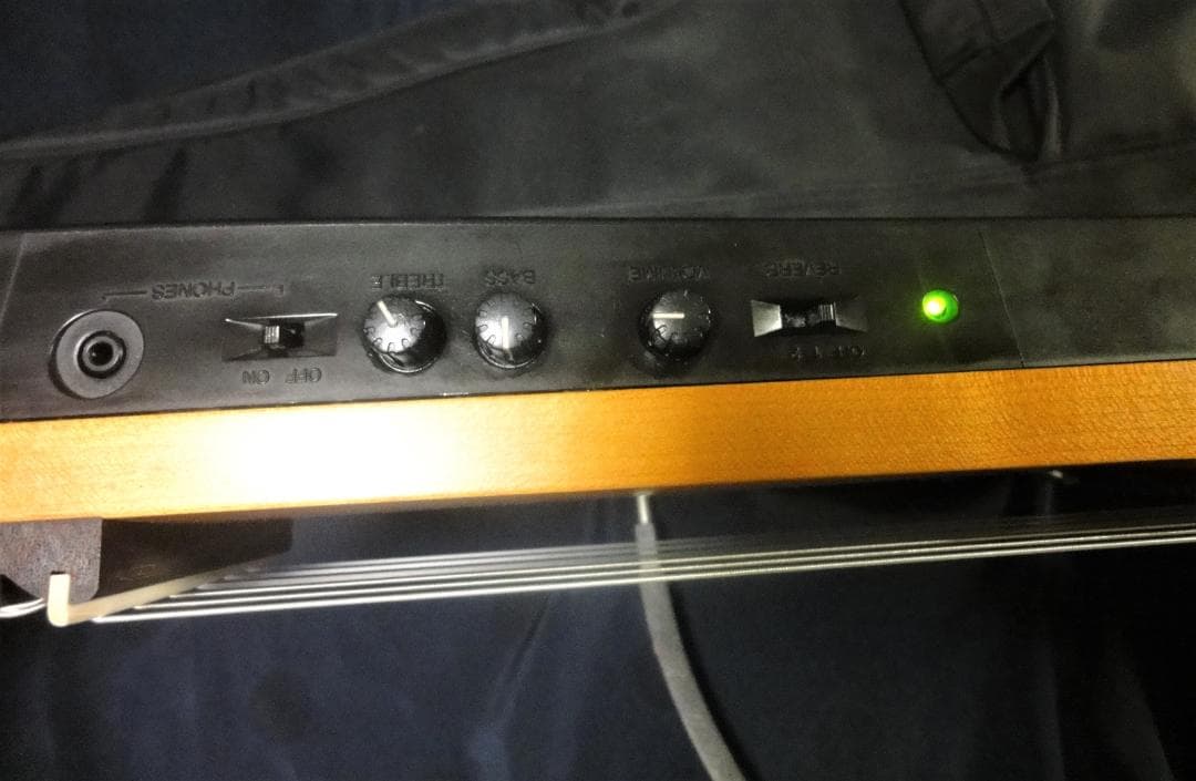 Yamaha Acoustic Guitars Slg-100N