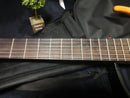 Yamaha Acoustic Guitars Slg-100N