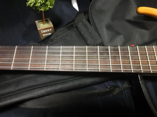 Yamaha Acoustic Guitars Slg-100N