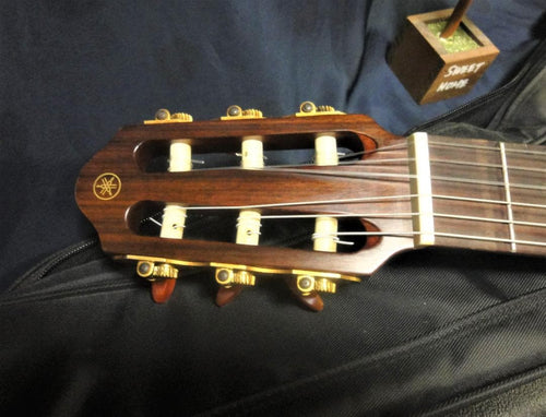 Yamaha Acoustic Guitars Slg-100N