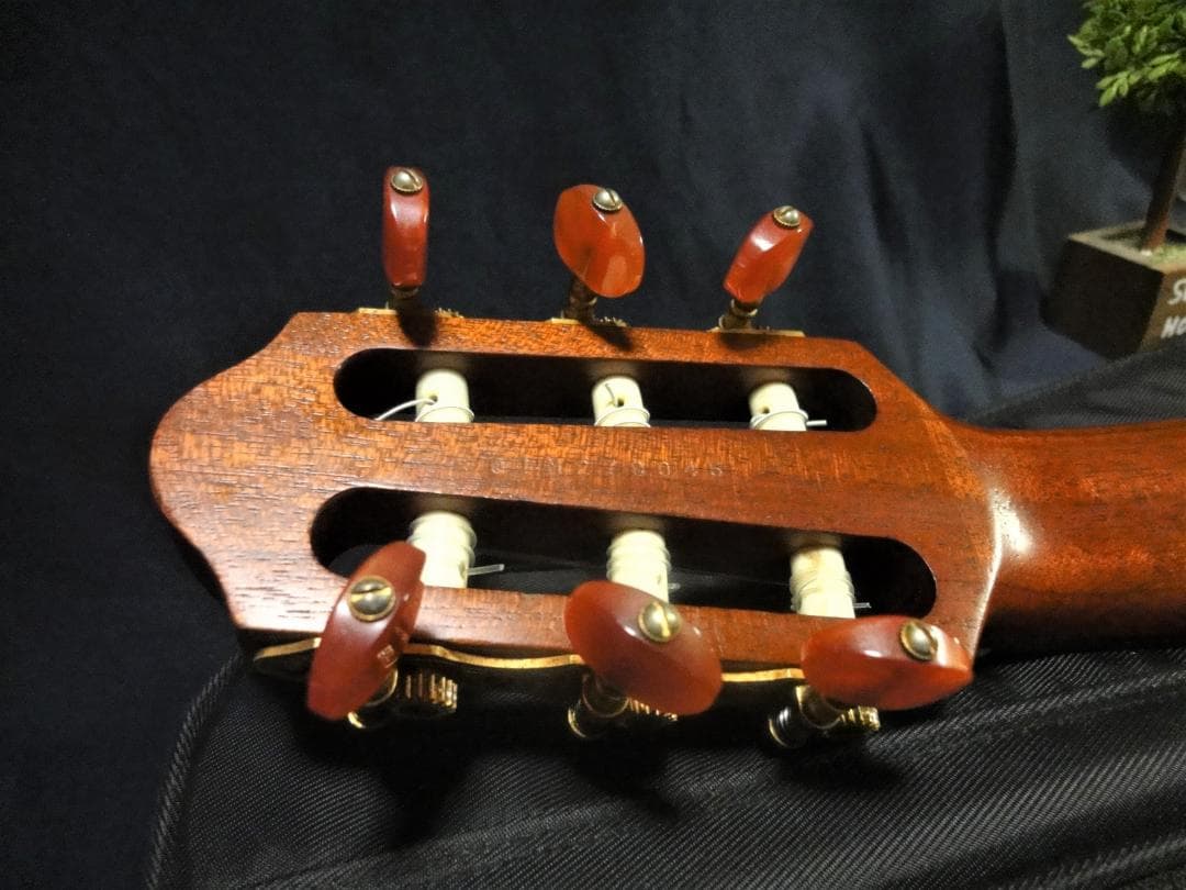 Yamaha Acoustic Guitars Slg-100N