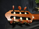 Yamaha Acoustic Guitars Slg-100N