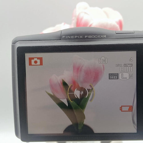 Fujifilm Compact Digital Camera Finepix F800Exr