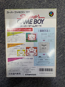 Peripheral Equipment Shvc-Sgb