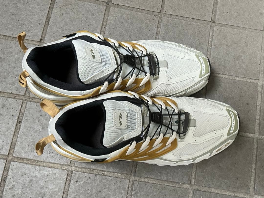 Salomon Sneakers Acs Pro Gtx Icicle Antelope Tea