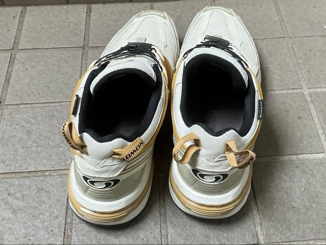 Salomon Sneakers Acs Pro Gtx Icicle Antelope Tea