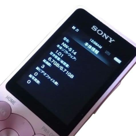 Sony Digital Audio Players Walkman Nw-S14 8Gb