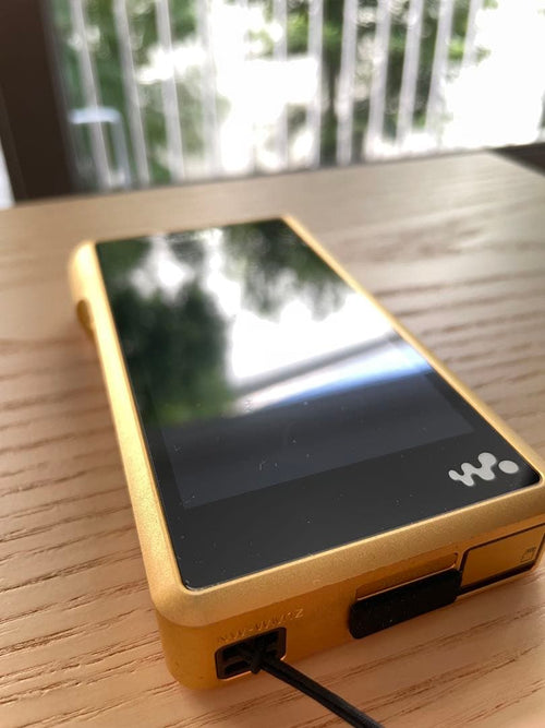 Sony Digital Audio Players Nw-Wm1Z