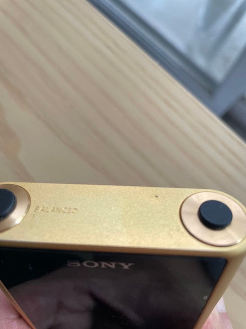 Sony Digital Audio Players Nw-Wm1Z