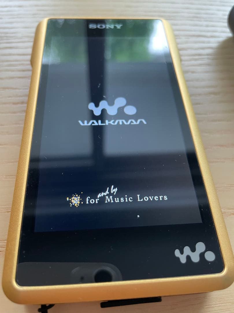 Sony Digital Audio Players Nw-Wm1Z