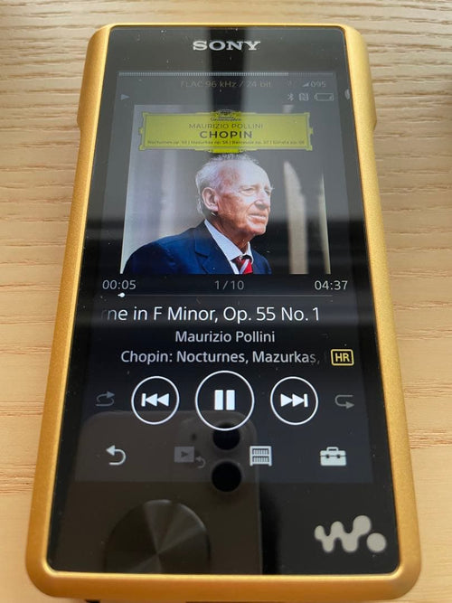 Sony Digital Audio Players Nw-Wm1Z
