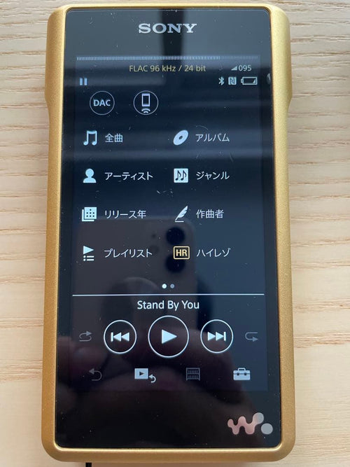 Sony Digital Audio Players Nw-Wm1Z