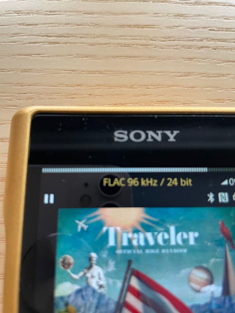 Sony Digital Audio Players Nw-Wm1Z