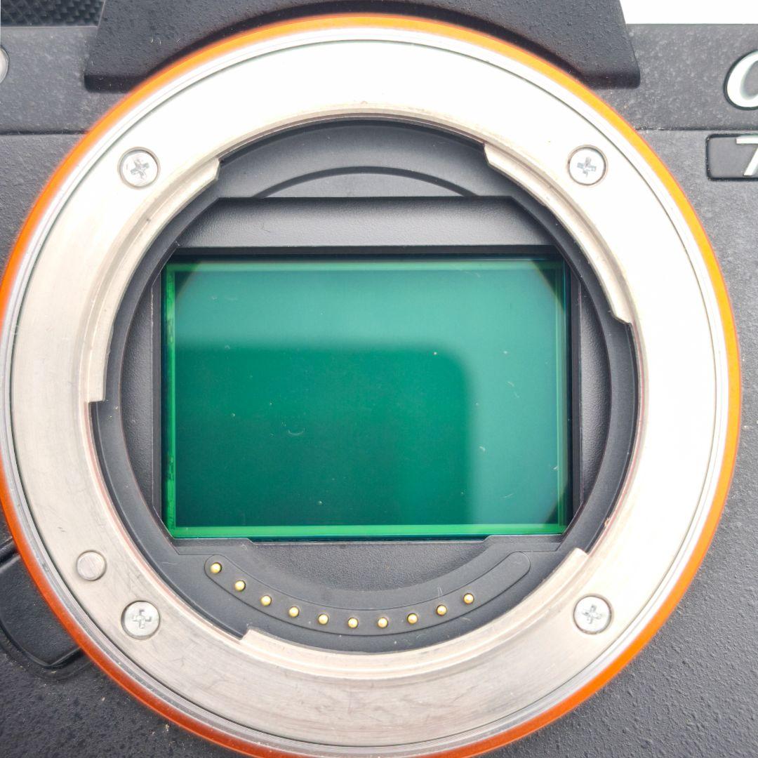 Sony Digital Slrs 7Ii