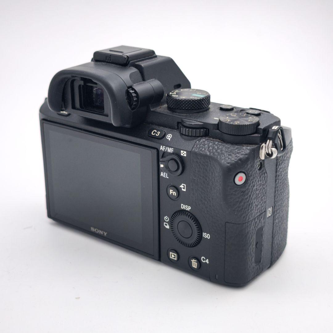 Sony Digital Slrs 7Ii