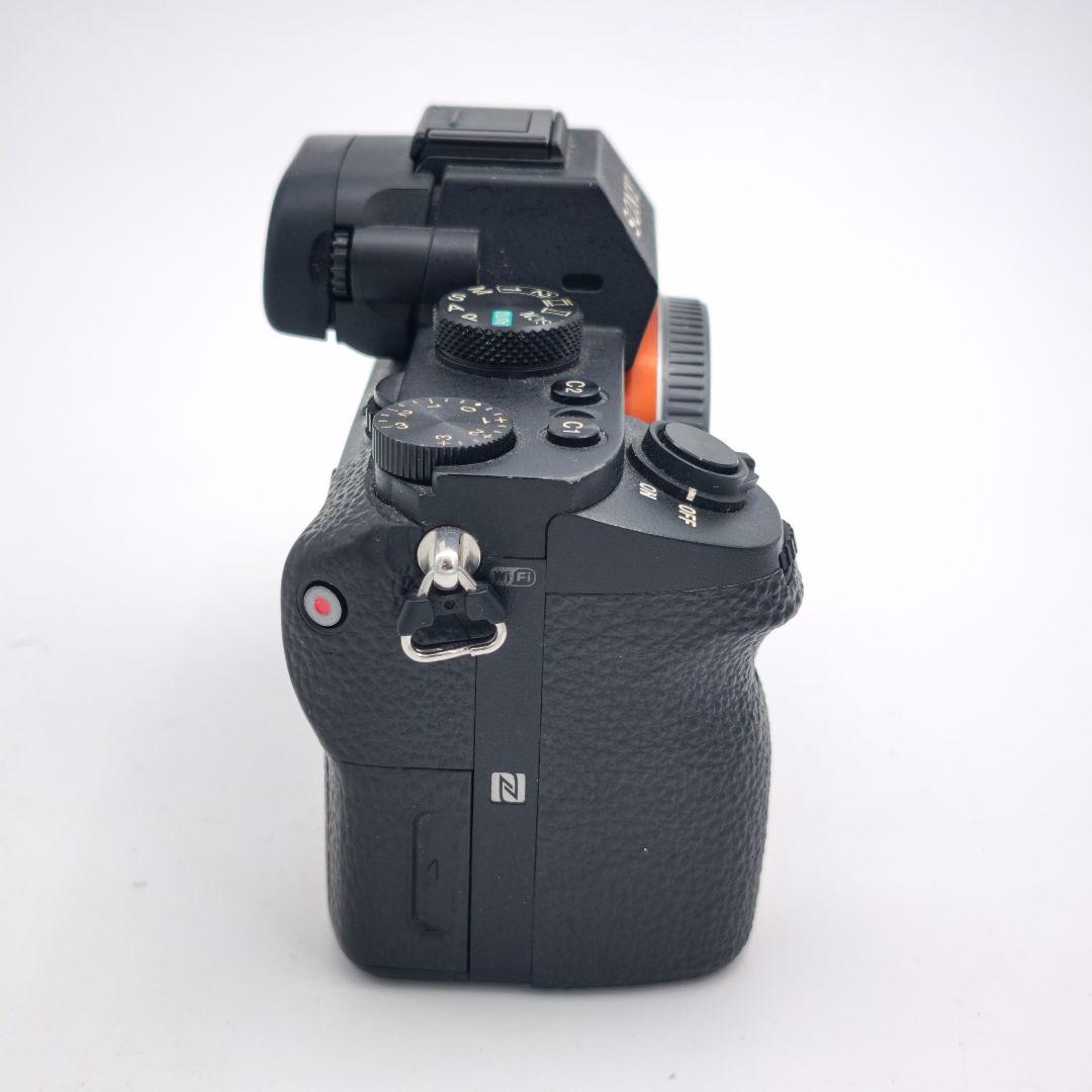 Sony Digital Slrs 7Ii