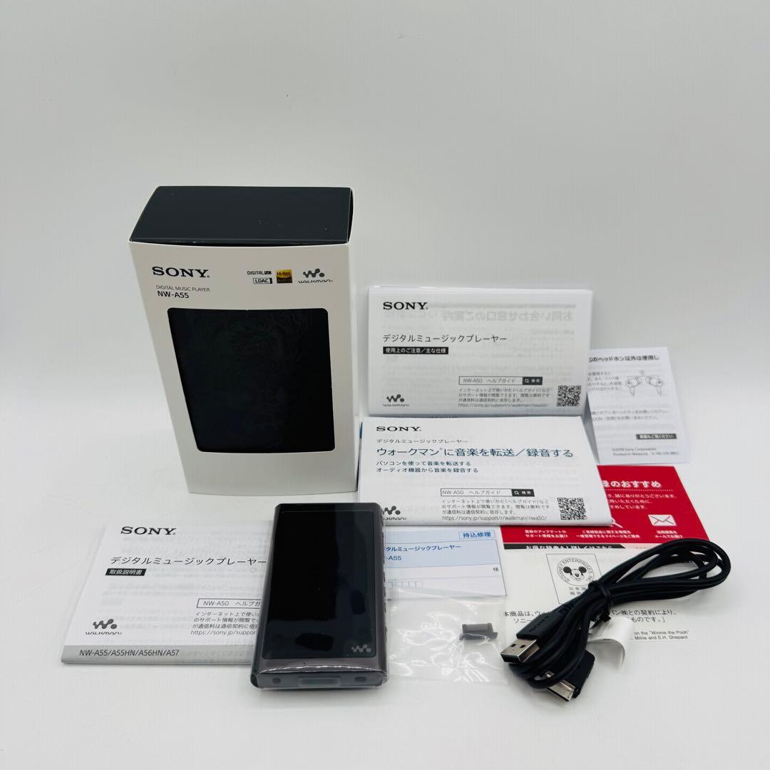 Digital Audio Player Walkman Nw-A55 Sony