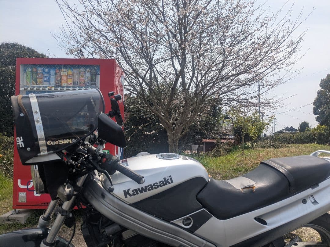 Kawasaki Motorcycle Body Zzr250