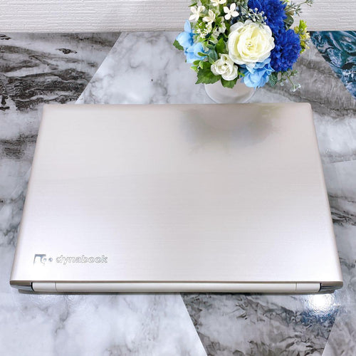 Dynabook Windows Laptops Ssd512Gb