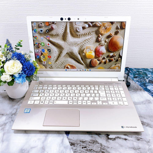 Dynabook Windows Laptops Ssd512Gb