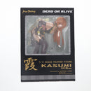 Max Factory Others 2005 C2 Ver. Dead Or Alive( 1/6