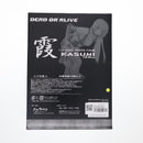 Max Factory Others 2005 C2 Ver. Dead Or Alive( 1/6