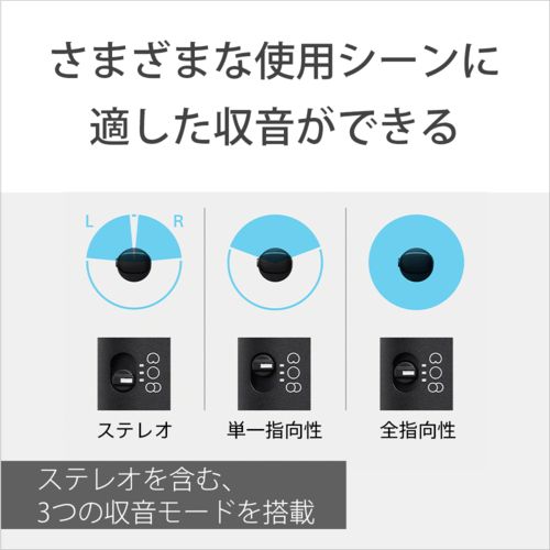 Sony Others Ecm-S1