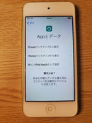 Apple Digital Audio Players Ipod Touch 64Gb